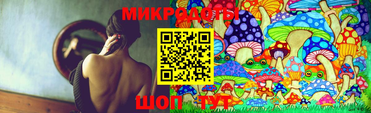 Псилоцибиновые грибы Cubensis Камышин