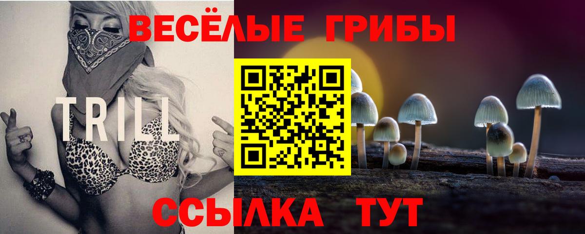 Галлюциногенные грибы прущие грибы  Вход с VPN  Камышин 